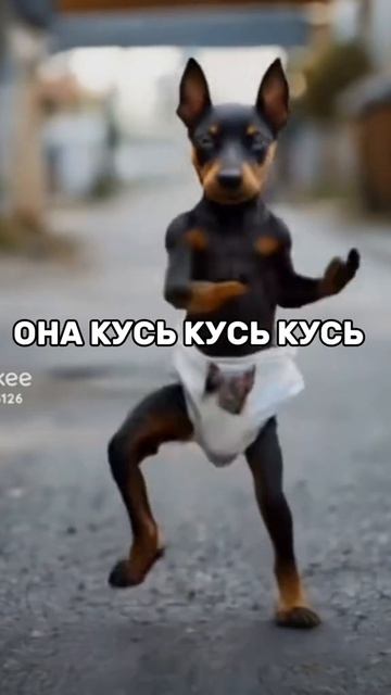 собачка аф аф аф смотреть онлайн
