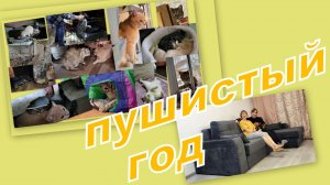 НАШ НЕ ПРОСТОЙ, НО СЧАСТЛИВЫЙ ПУШИСТЫЙ ГОД!!! В ГОСТЯХ))