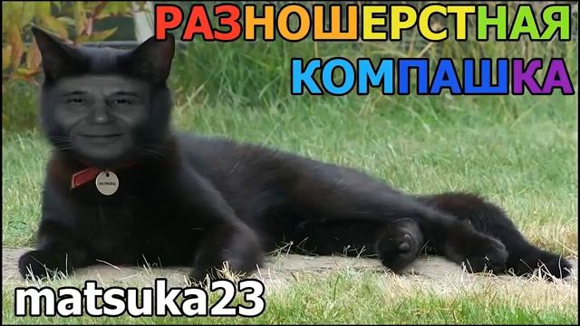 Matsuka23 РАЗНОШЕРСТНАЯ КОМПАШКА смотреть онлайн