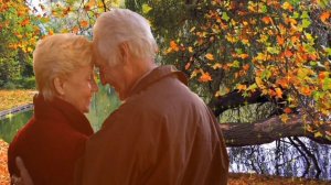 Я ТАК ДОЛГО ЖДАЛ ТЕБЯ