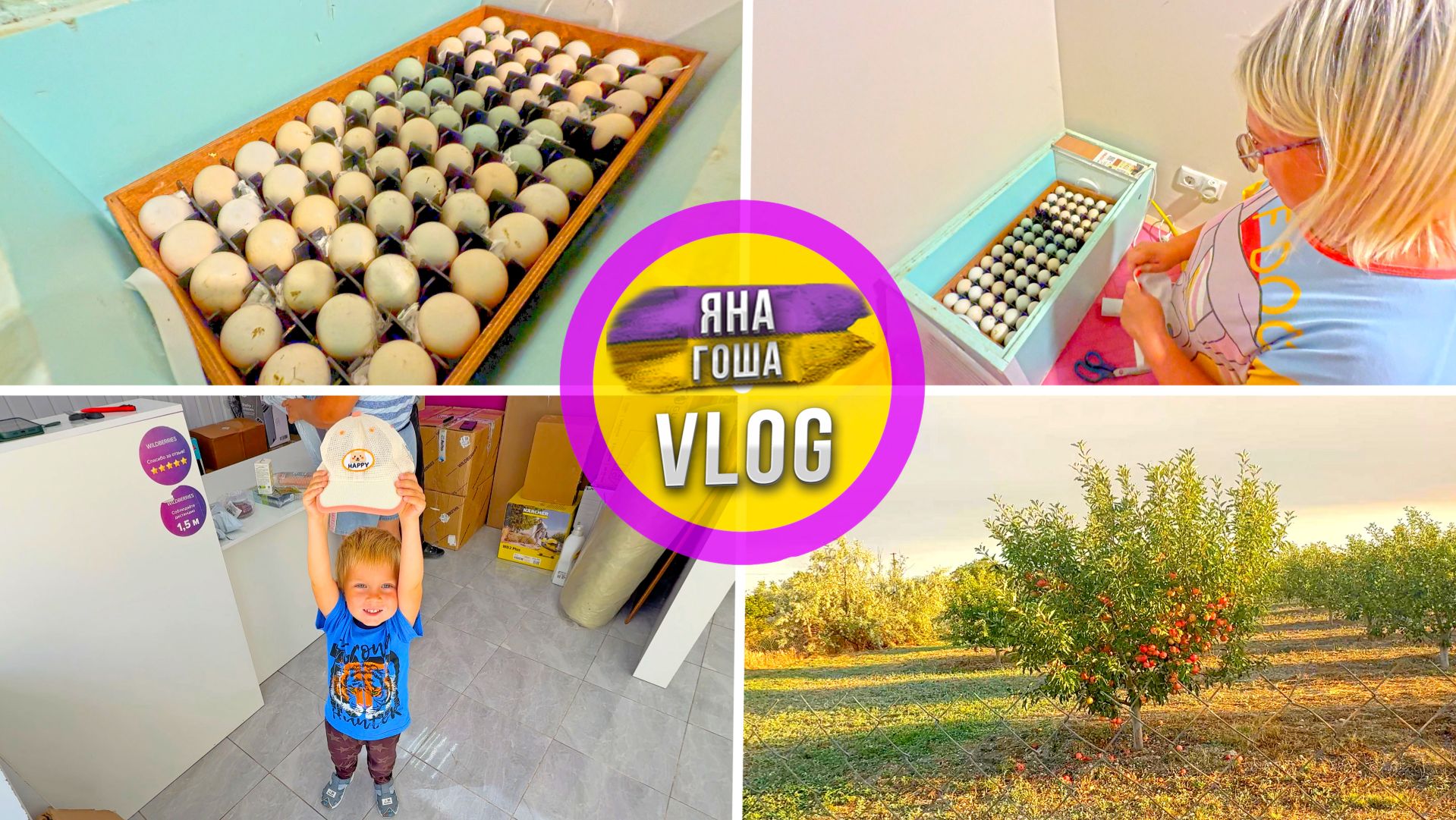 Закладываю яйцо в инкубатор! Еще одна попытка. Что хочу? Волшебный сад у соседа. Как собирают лук? смотреть онлайн