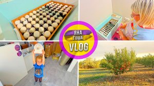 Закладываю яйцо в инкубатор! Еще одна попытка. Что хочу? Волшебный сад у соседа. Как собирают лук?