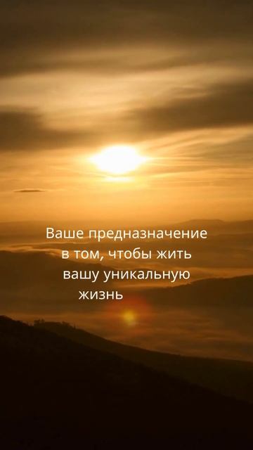 Живи ярко! #изобилие #предназначение #силамысли #богатство #исполнениежеланий