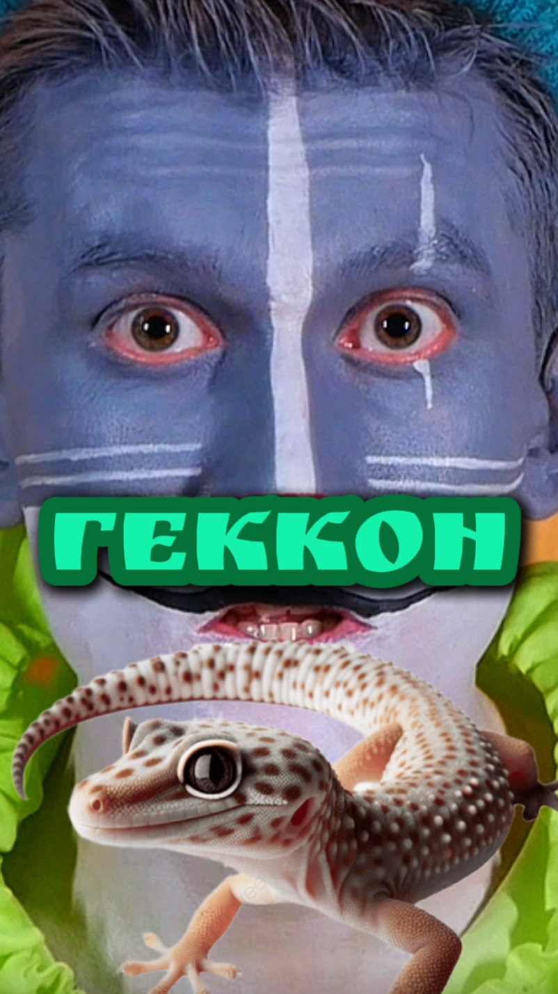 Кот Учёный и Геккон 🦎 смотреть онлайн