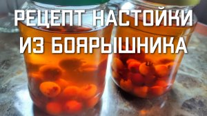 Рецепт настойки из боярышника в домашних условиях