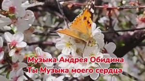 Релакс. Музыка для души. Красивая природа