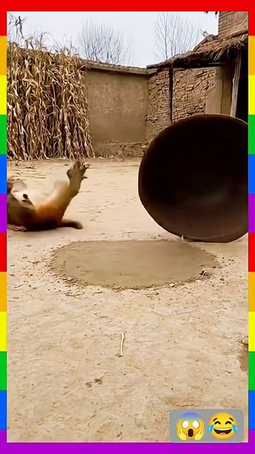 #guess смотреть онлайн