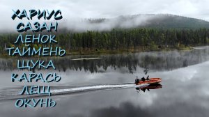 ЛЕТНИЙ РЫБОЛОВНЫЙ МИКС 2025 | Таёжные реки, озёра, водохранилище