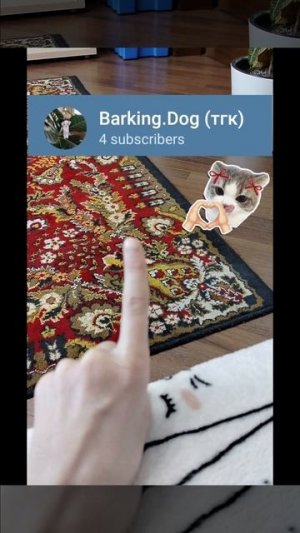 Заходите на мой Telegram канал🙏👉👈
