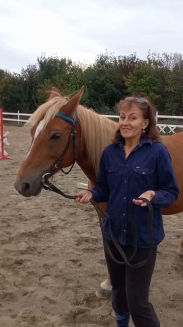 Падения с лошади.