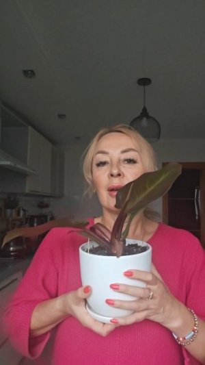 Растения из Пятерочки. Часть 2 #растения #цветы #plants #еленаматвеева #сад