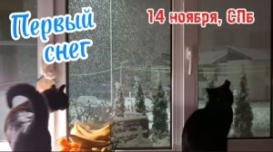 Первый снег в пригороде Санкт-Петербурга: прогулка с котами и создание снеговика. Ноябрь 2025