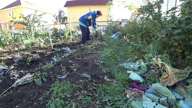 Влог от 21.09.2021 смотреть онлайн