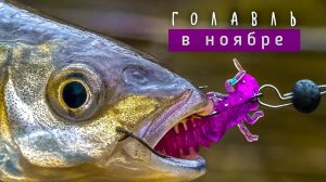 НЕ ОЖИДАЛ ЕГО ПОЙМАТЬ в ЭТО ВРЕМЯ! 🔥 / РЫБАЛКА на РУЧЬЕ со СПИННИНГОМ в стиле НАНО ДЖИГ