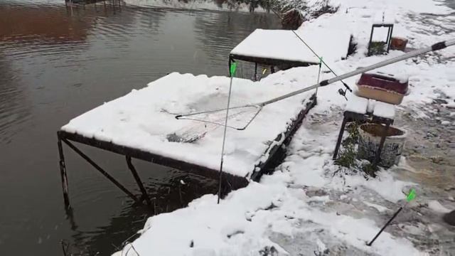 Светлые Горы Форель10 15.11.2025г. смотреть онлайн