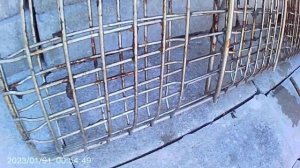 кот с камерой анука давай-ка