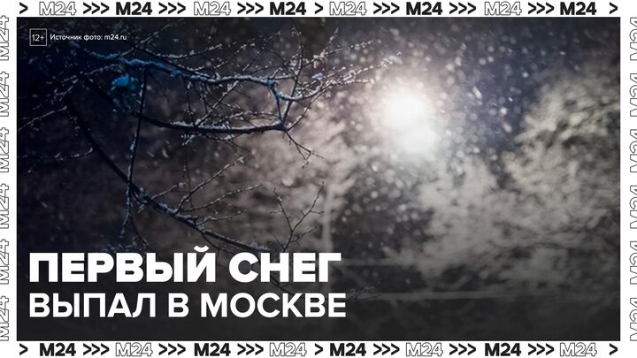Первый в этом году снег выпал в Москве - Москва 24 смотреть онлайн