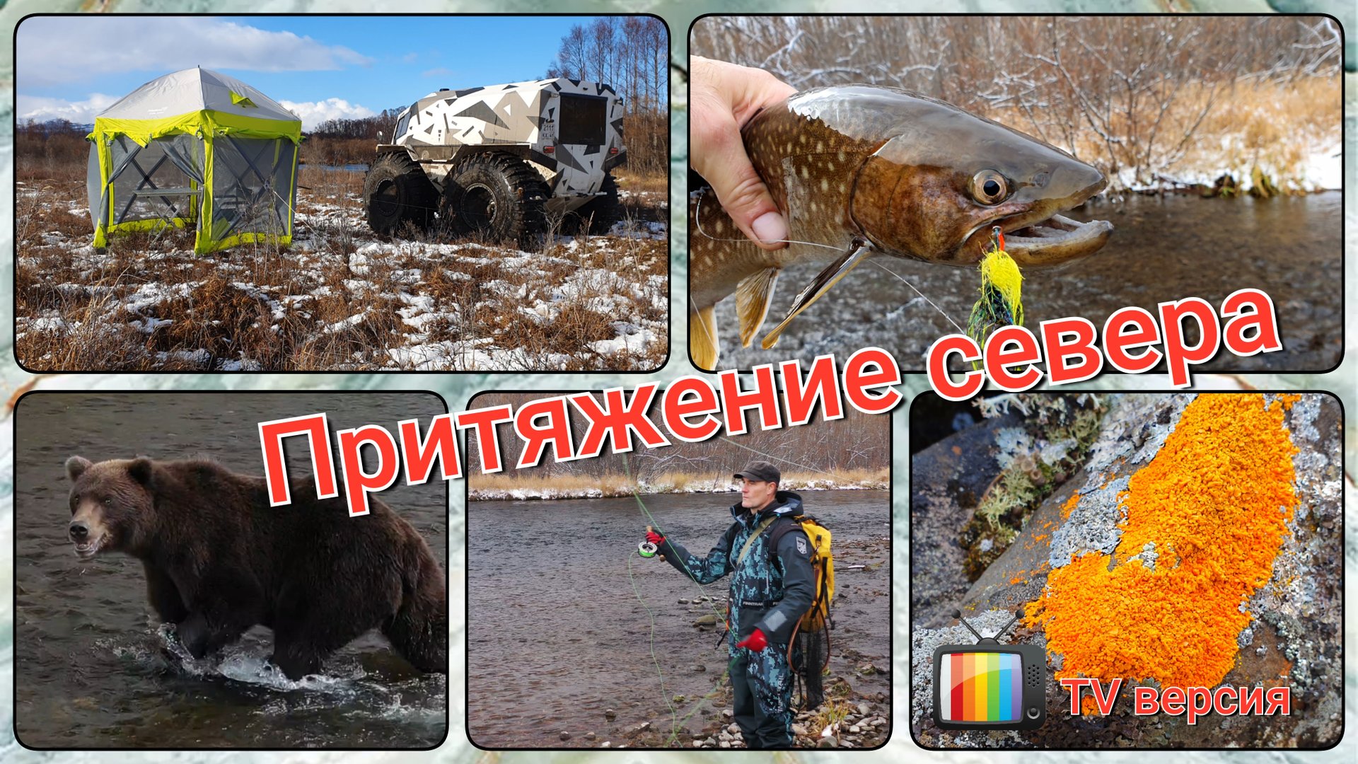 Притяжение севера. TV версия. смотреть онлайн