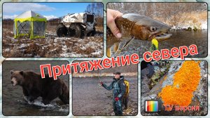 Притяжение севера. TV версия.