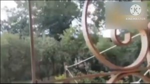 Анонс МАКШОУ На Карусель 01.03.2025 Н.В Берите!!!