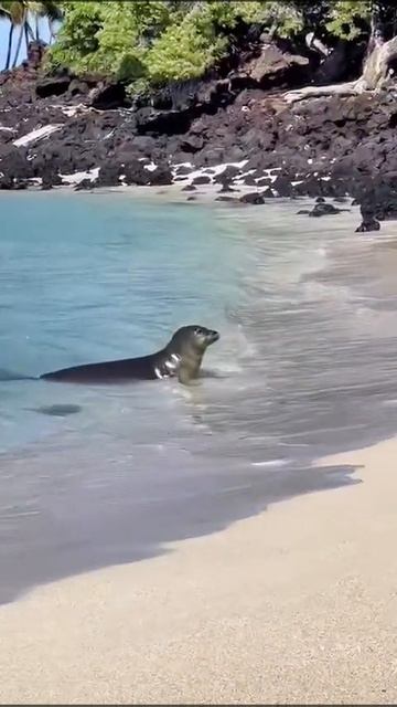 Хотел красиво подкатить смотреть онлайн