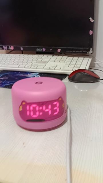 пов та самая Алиса