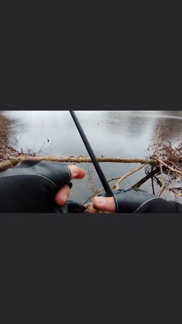 ТРИ УДАРА И ВСЕ МИМО РЫБАЛКА смотреть онлайн