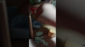 первое видео с 3д питомцами (интересно)