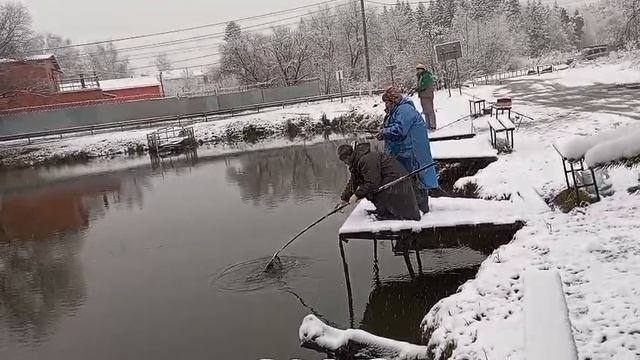 Светлые Горы Форель6 15.11.2025г. смотреть онлайн