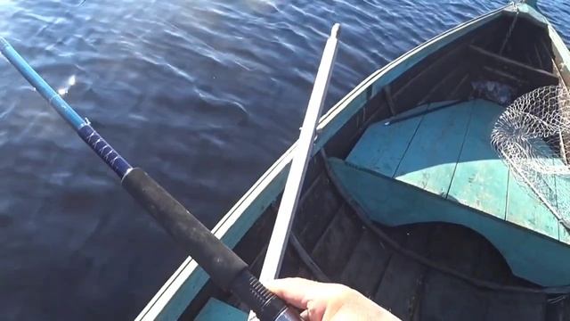 И СНОВА ВСЕ О НЕЙ!..ФОРЕЛИ!!.. ЮШКОЗЕРО!!. АВГУСТ 2023!!.. смотреть онлайн