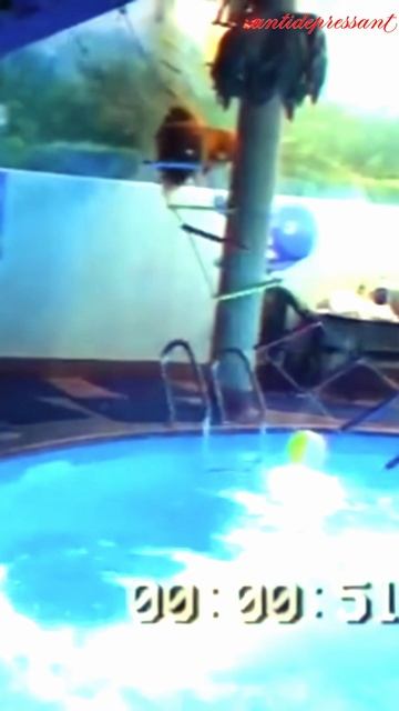 Флэш-Рояль фитнес 😂 😀 🤩 смотреть онлайн