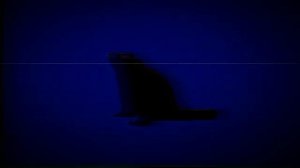 ÷π^¢=°°°==$÷$=°¢÷©=$=[™©^©©¢