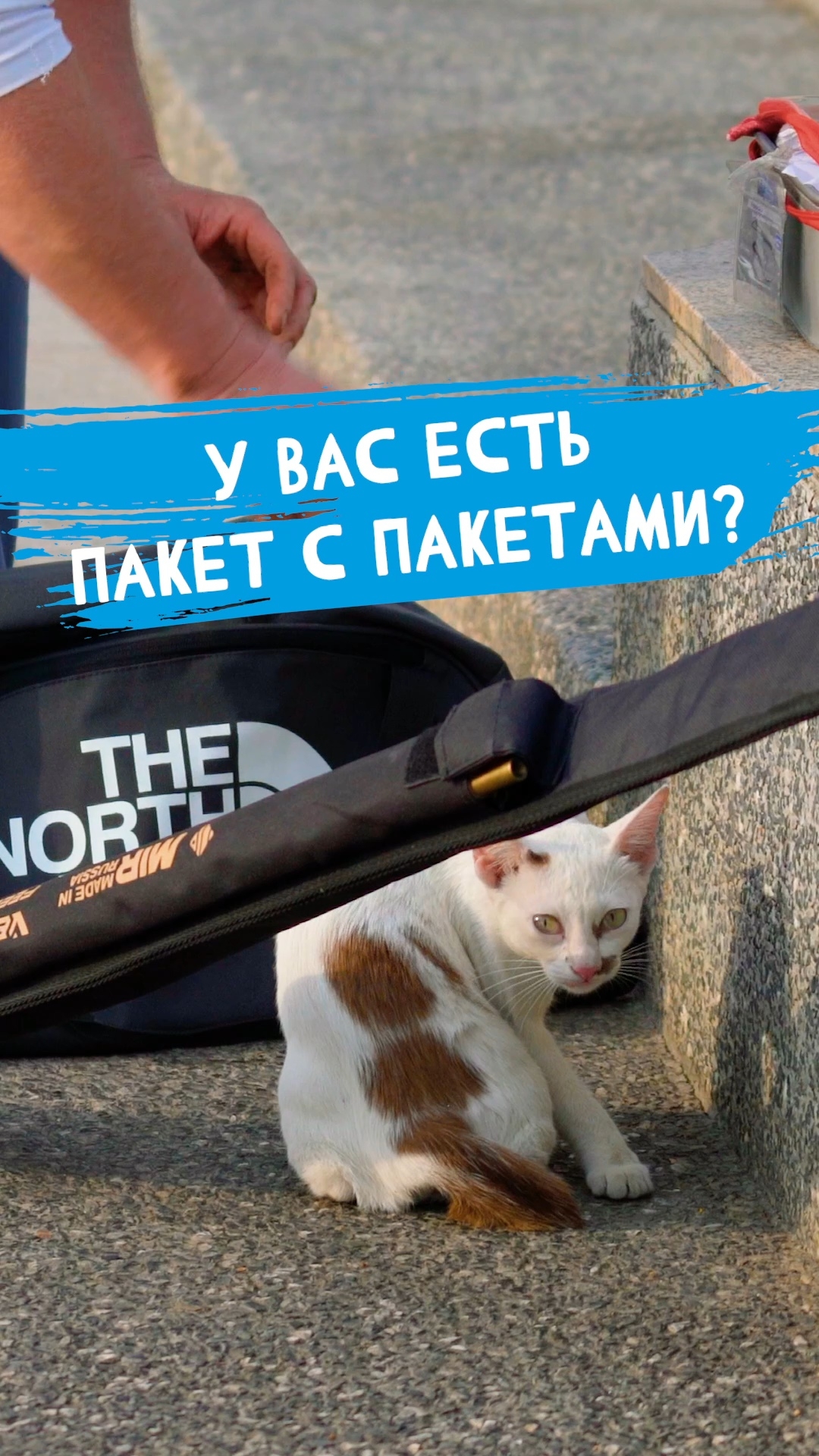 Есть у всех, но не все им пользуются #dunaevmedia #рыбалка смотреть онлайн