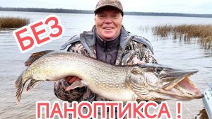 Ноябрьский трофей 🏆 Щука на воблер.