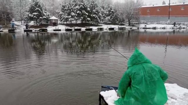 Светлые Горы Форель4 15.11.2025г. смотреть онлайн