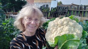 НОВАЯ ЖИЗНЬ В ДЕРЕВНЕ.