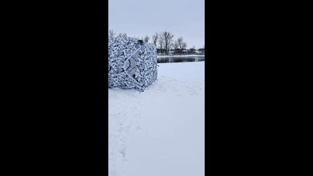 Я бы мог этим заниматься весь день 😇#shorts