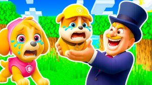 МЭР ХАМДИНГЕР УКРАЛ МОЛОДОСТЬ У ЩЕНЯЧЬЕГО ПАТРУЛЯ В МАЙНКРАФТ МУЛЬТИК PAW PATROL