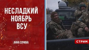 Несладкий ноябрь ВСУ [Анна Сочина. СТРИМ]
