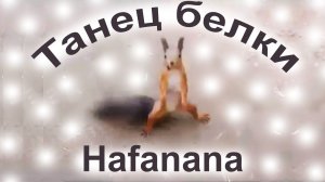 Танец белки.  Hafanana