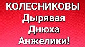 Колесниковы/Обзор.