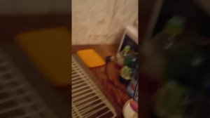 Кто приходил то к тебе???