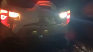 Ситроен дс 5 задний фары новые лампы заднего хода