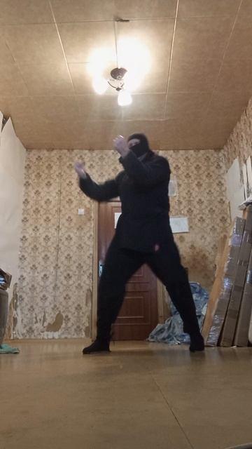 Very Nordic Ninja: 15 November Wonder III (15.11.25) Крайне Северный Ниндзя: 15 Ноябрьское Чудо III