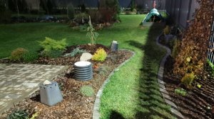 Последние работы сезона. 12.11.2025 восток Ленинградской области