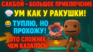 🌈Сакбой Большое приключение — 41 уровень “Ума как у ракушки” 🐚 | Пазлы, ловушки и море смеха!