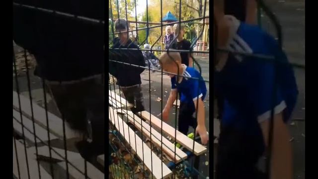 Дворовая история