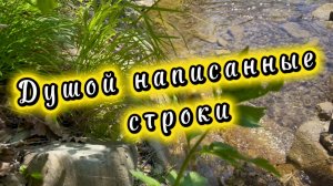 Душой написанные строки. Сергей Аверьянов, волшебная музыка