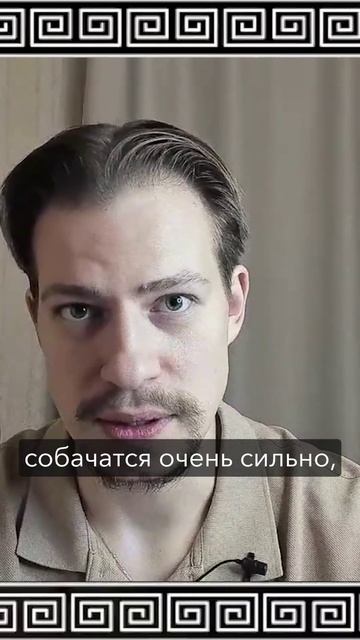 О двух партиях США