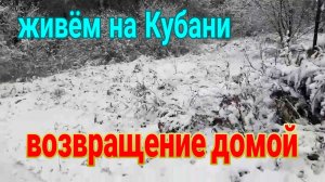 Живем на Кубани. Возвращение домой...  Выпал снег. И многое другое.